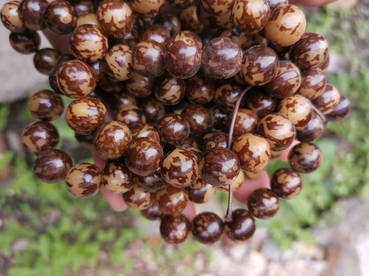 花根虎斑纹菩提籽菩提根手串景区地摊网络直播情侣手链夜市赠品