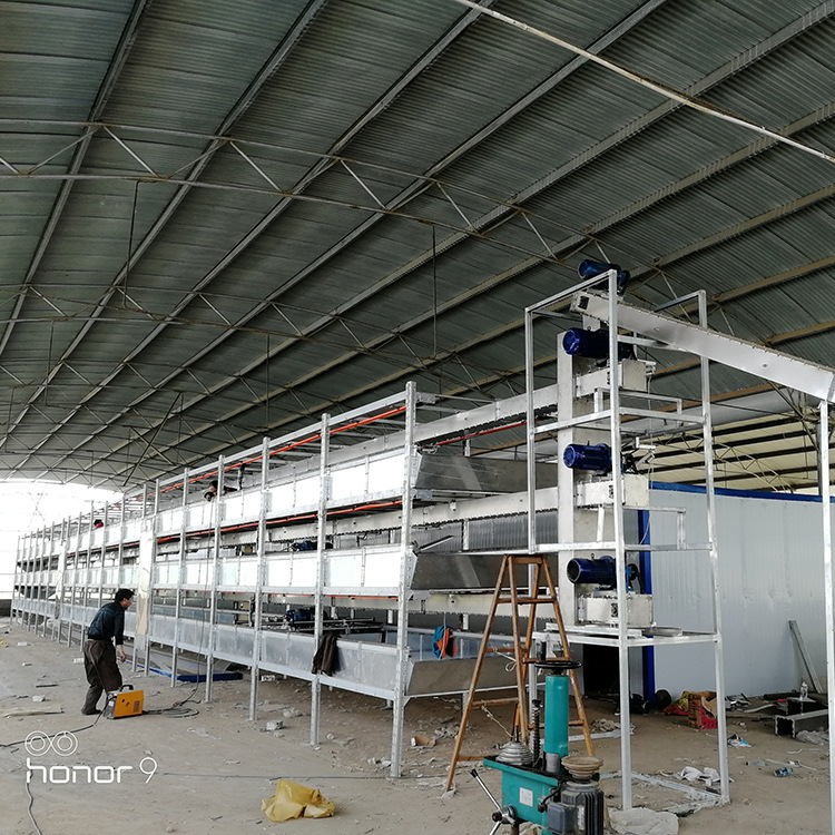 智能黑水虻养殖设备框架式可分多层全智能饲养黑水虻设备富乐定制