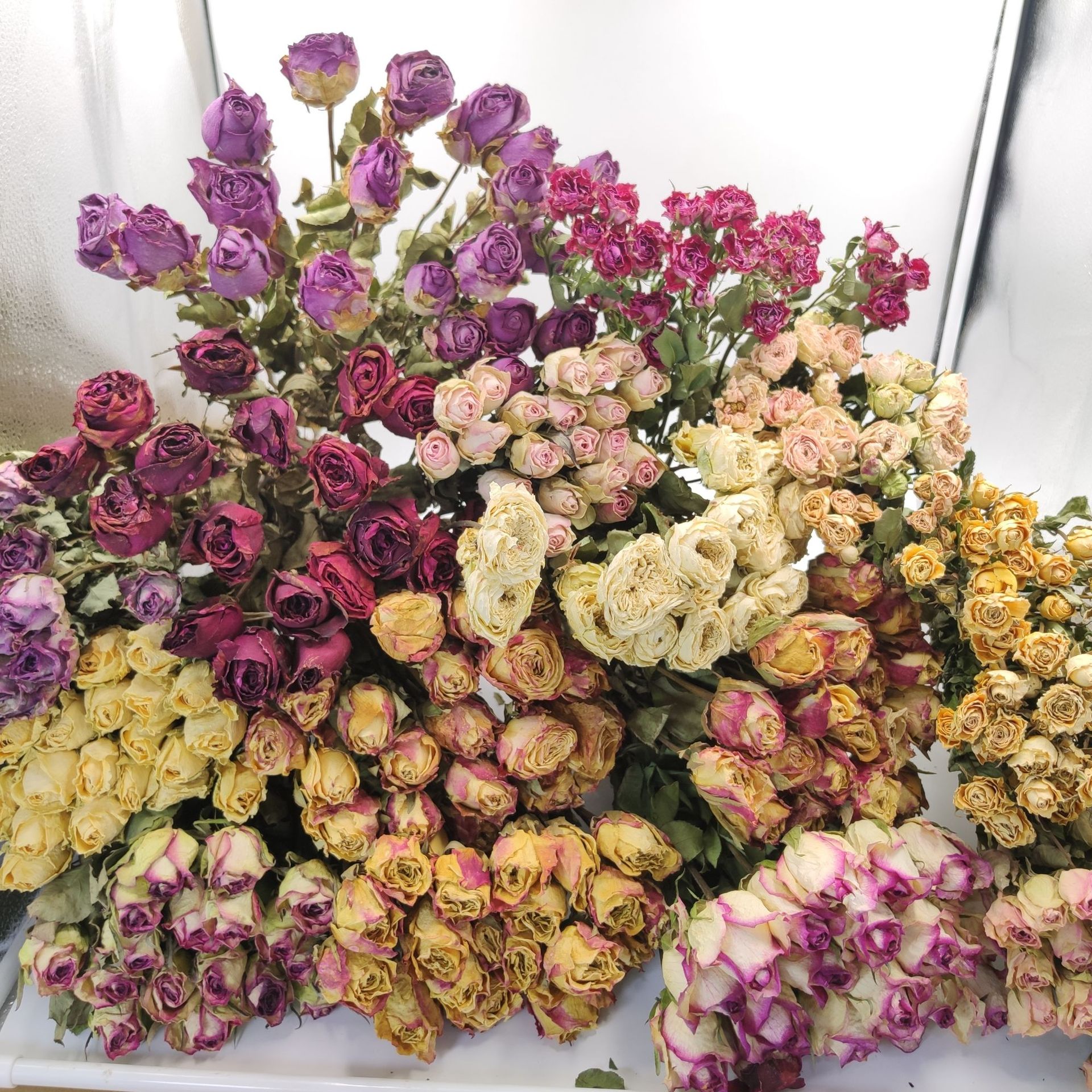 玫瑰干花 干花花束 多头玫瑰单头玫瑰节日送礼情人节三八节装饰￥9.