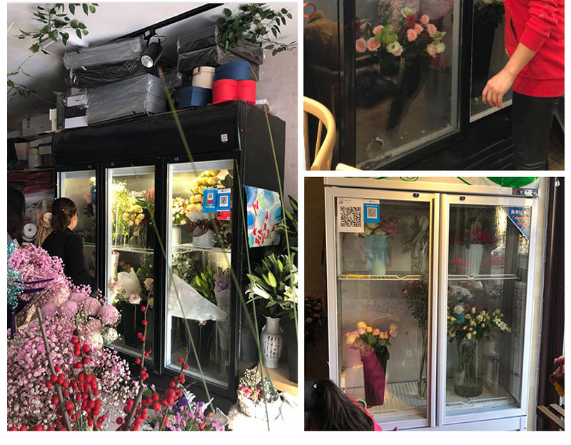 鲜花保鲜柜 风冷直冷花店鲜花冰箱单双门三开门鲜花冷藏展示柜