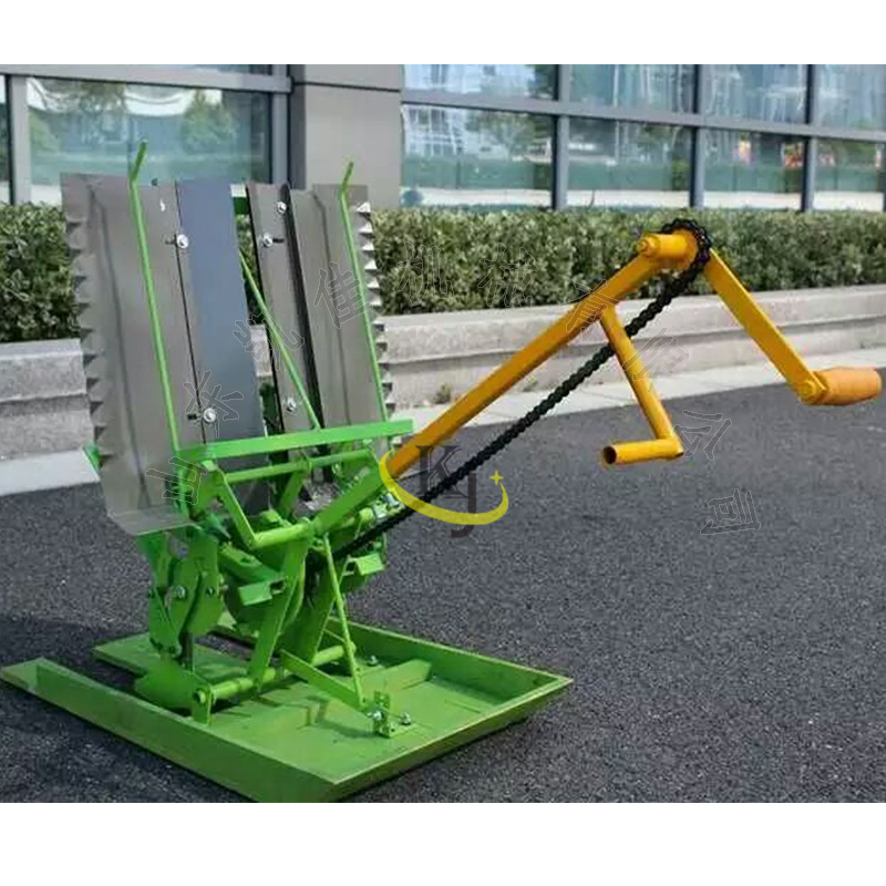手摇式水稻插秧机 水稻栽苗补苗机 小型双行水稻插秧机秧苗种植机