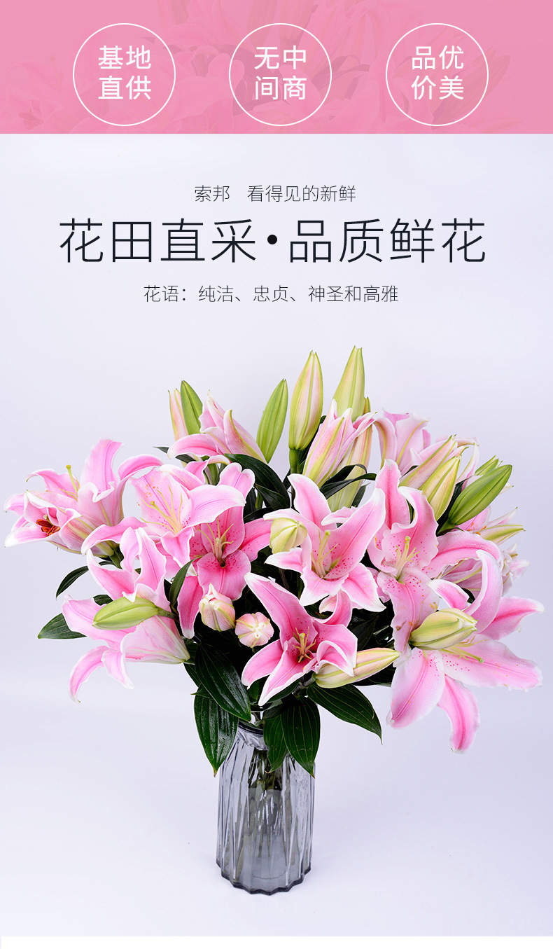 百合花云南昆明基地直批直发百合花索邦520情人节礼物鲜花花束