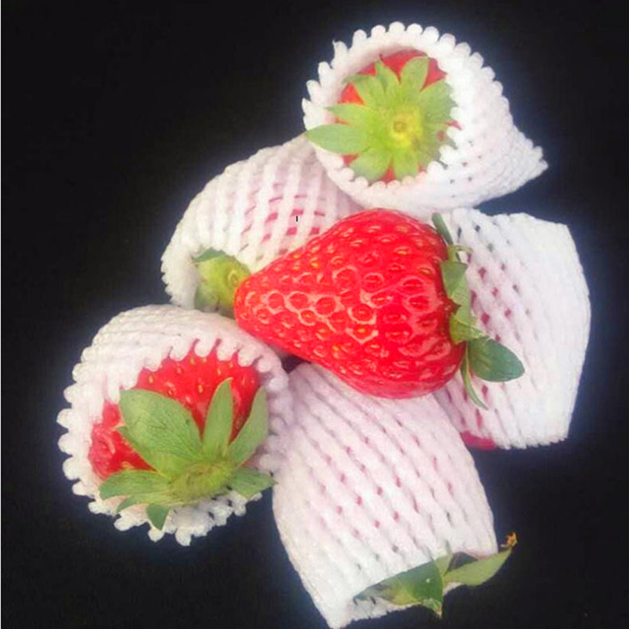 果蔬泡沫包装网套白色珍珠棉加厚套苹果网套三华李草莓网兜网袋