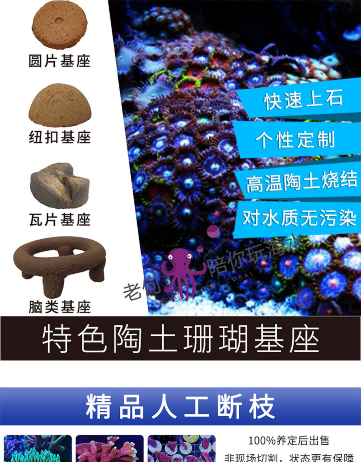 特色珊瑚基座 瓦片sps珊瑚纽扣陶瓷基座底座断肢架断枝座断支座