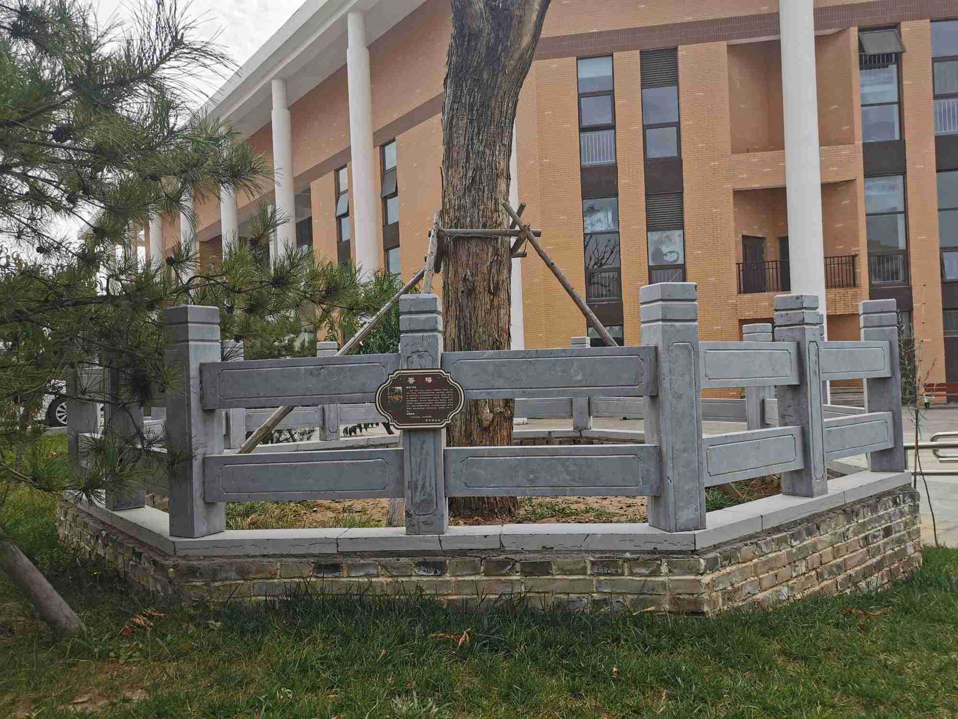 厂家供应古树保护围栏青石栏杆树池护栏各种规格材质的石雕树栏