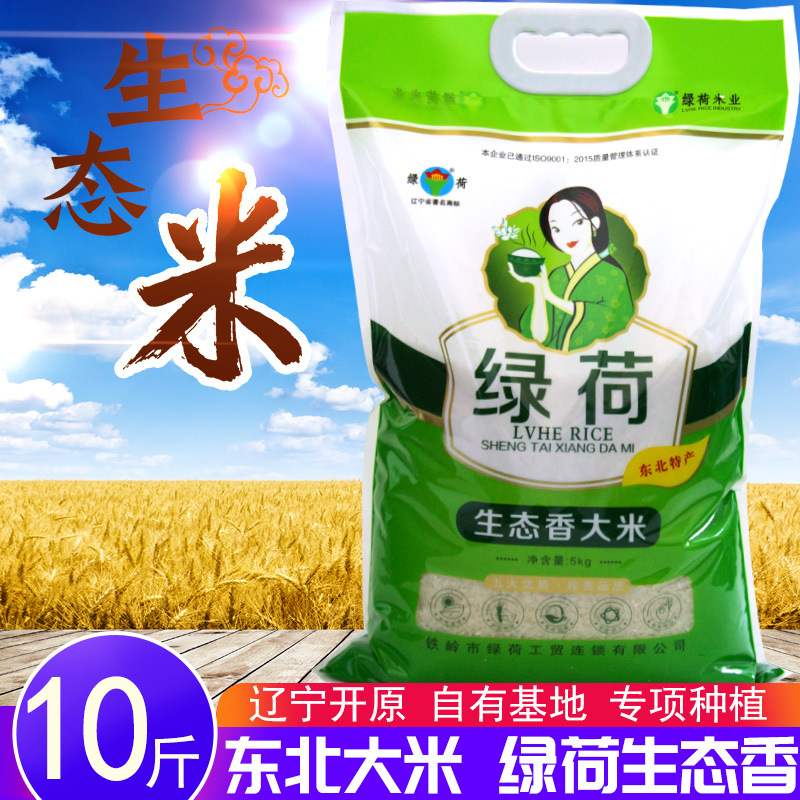 东北大米 2020年新大米辽宁开原大米生态香长粒香粥米袋装5kg10斤