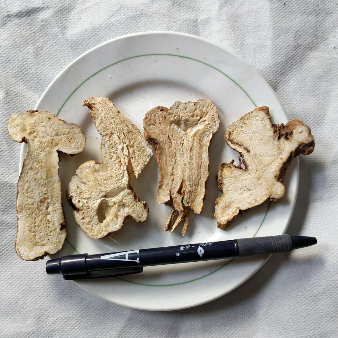 生白术 炕干统装新货 如图实拍 批发各种中药材