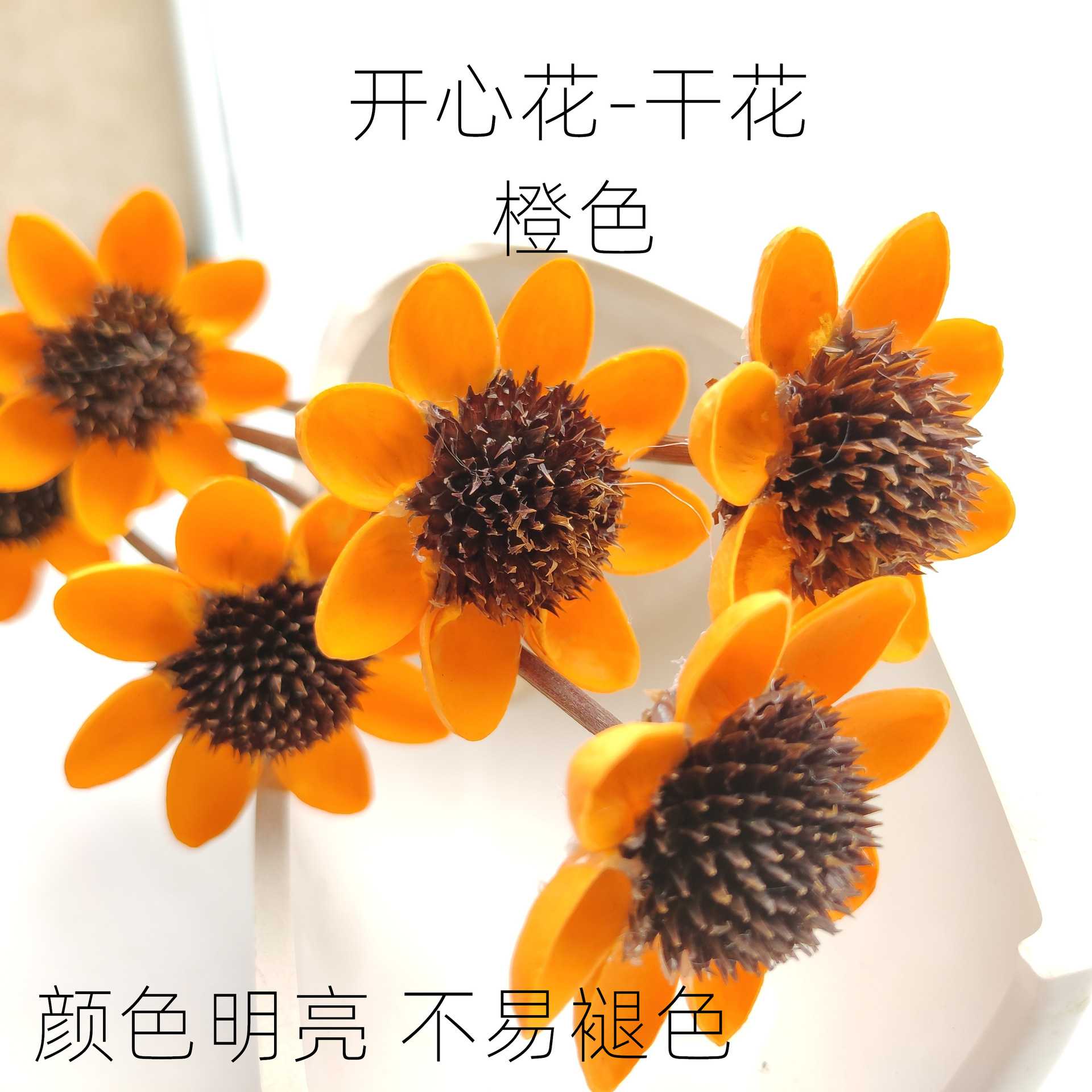 开心花 开心花干花组合干花节日送礼 婚庆装饰 花艺 花束捧花摆件