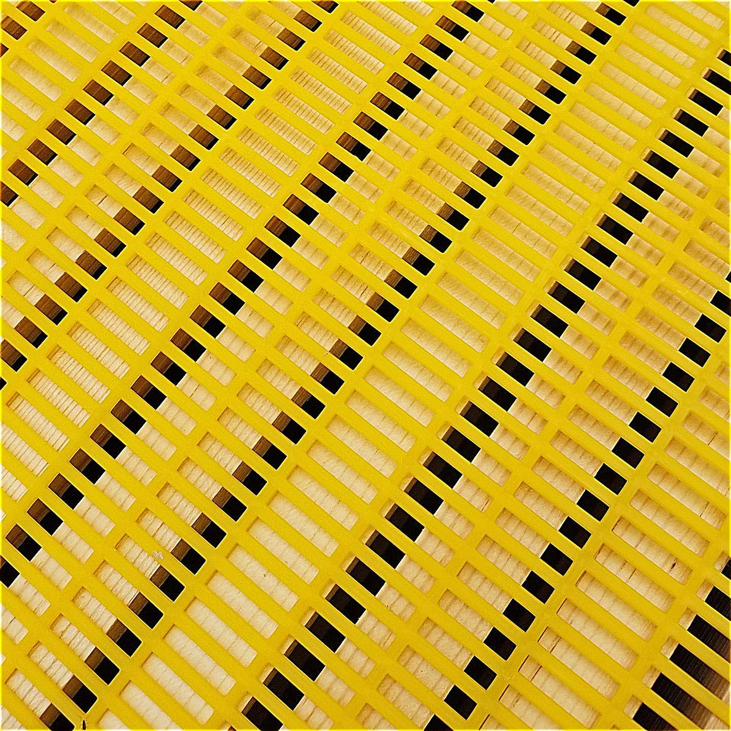 养蜂工具 意蜂塑料隔王板蜜蜂蜂王隔离板蜂箱控王器abs金属隔王板