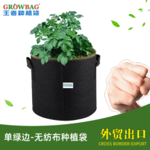 跨境美植袋无纺布种植袋黑色加厚植树袋育苗移植加仑花盆grow bag