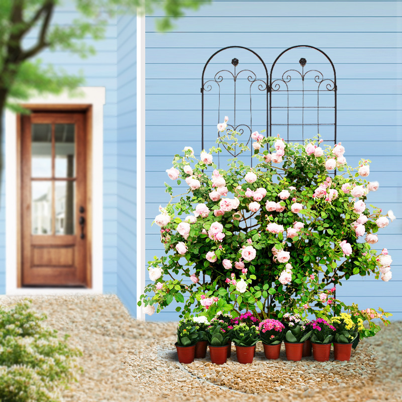 春晓 月季藤本植物爬藤架 网格花爬架花支架铁线莲花幕户外屏风