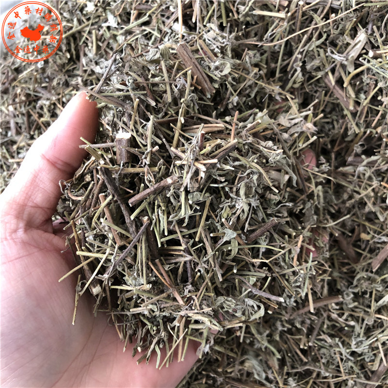 香薷草 中药材 香芋草 香糯草 姜味草 小香草 小姜草