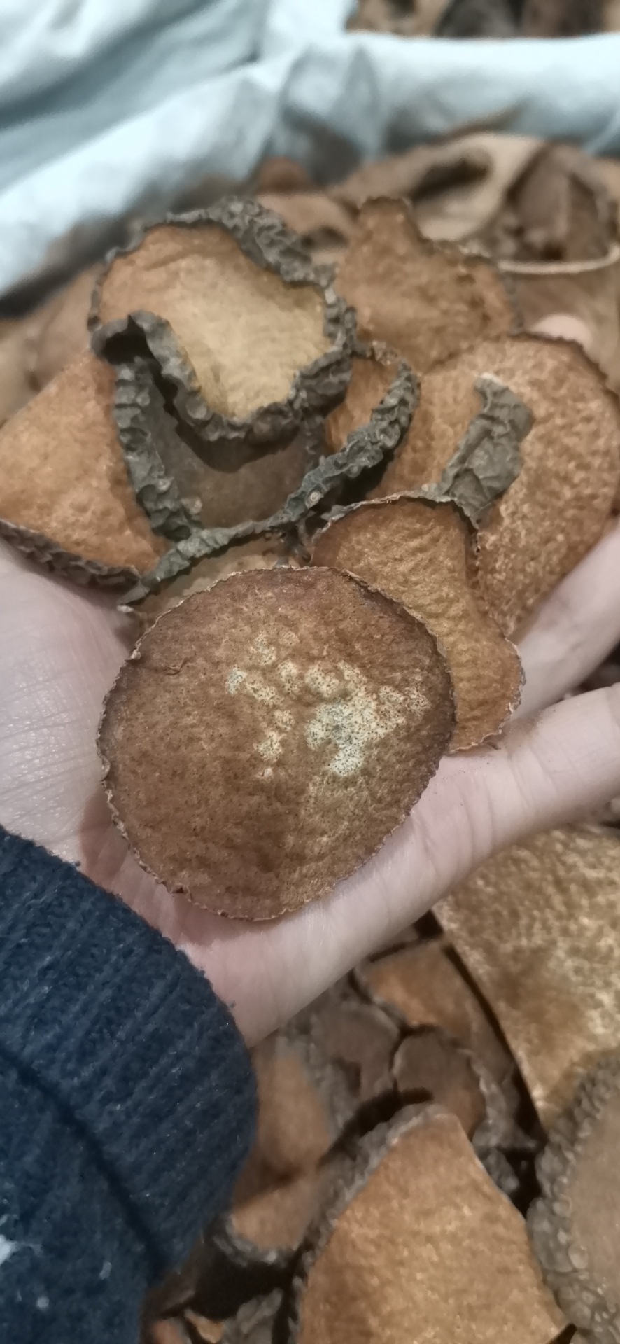 56f3132086747d7704d3a58ce69b8f