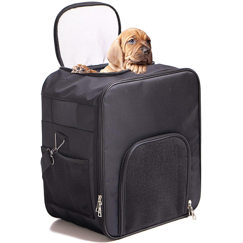 厂家新款热销宠物包时尚外出背包猫咪包透气 狗狗双肩包斜跨便携