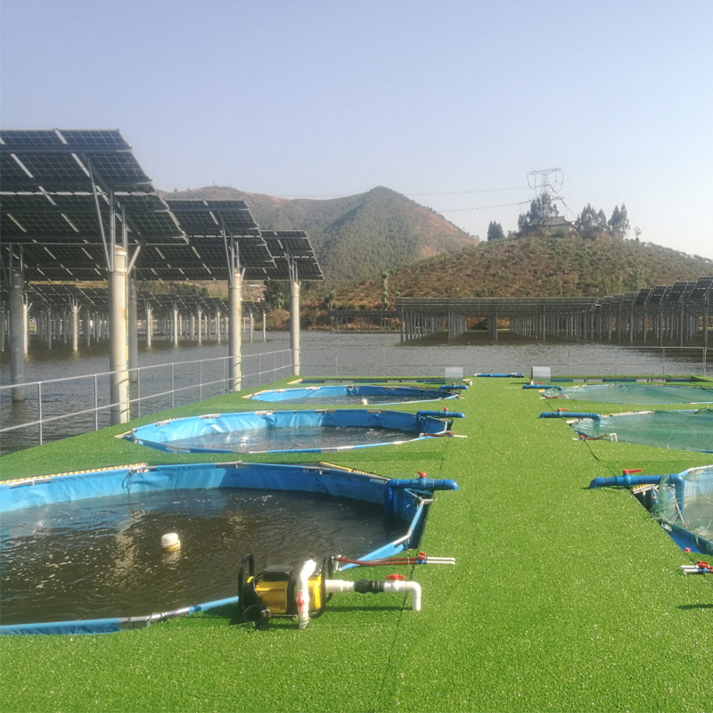 池塘内循环水池 可定制pvc支架水池 大容量移动帆布水池 规格齐全