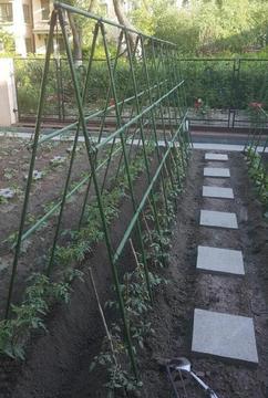 组合葡萄树花架防锈吊瓜架盆栽架果蔬架花架子室内电视机旁盆景架