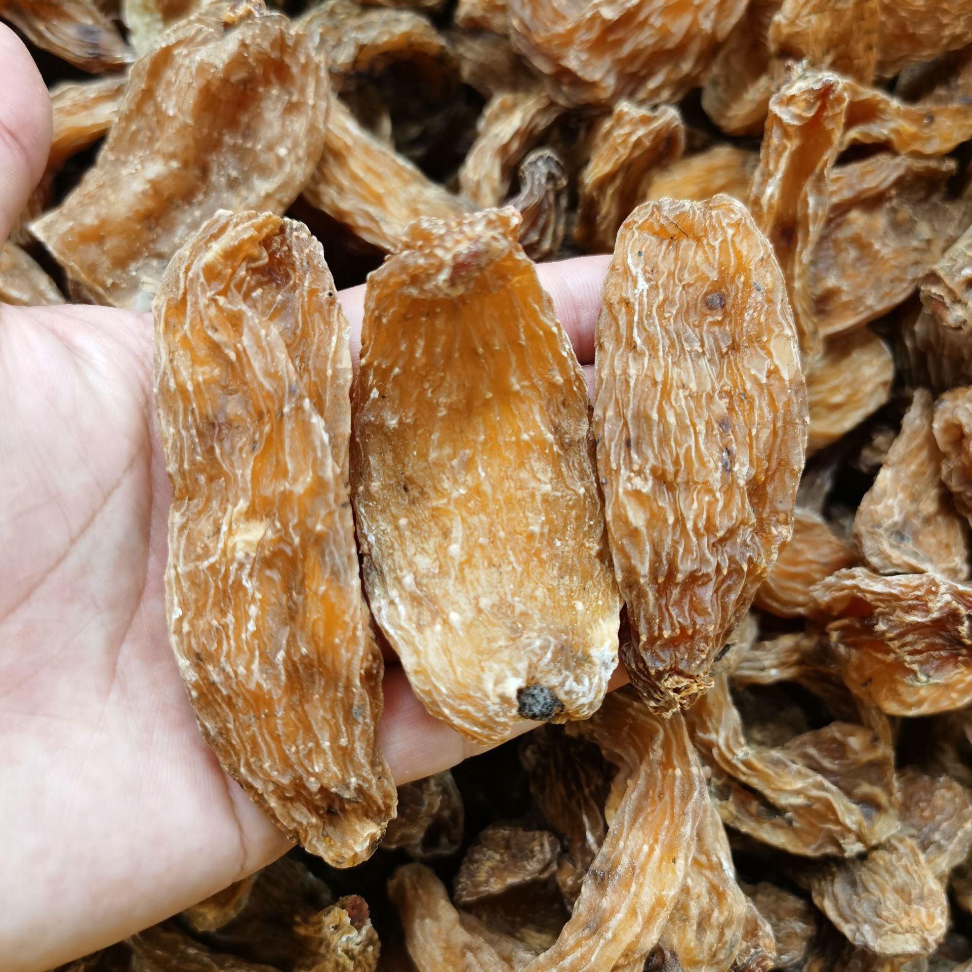 众珍元云南丽江红天麻雪山天麻血可切天麻片大红麻春麻 500克/袋