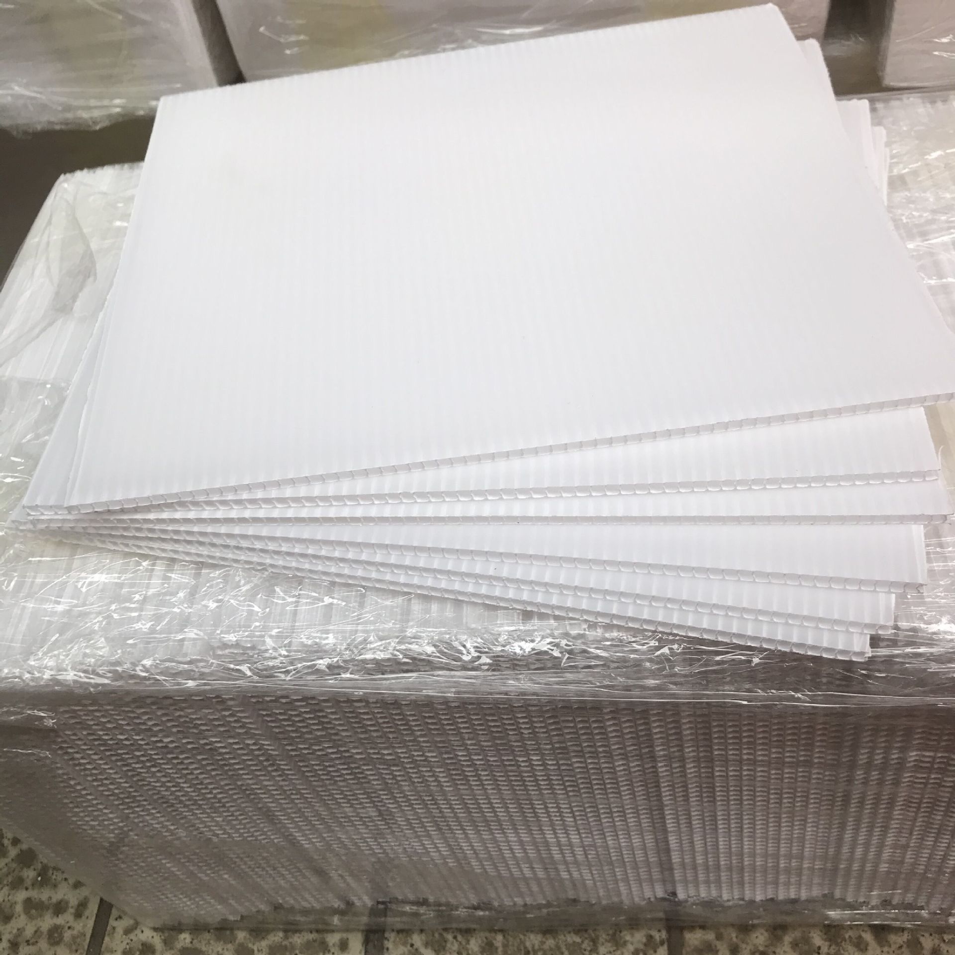 4mm蓝色中空板圆圈 塑料中空隔板 包装塑料隔板 pp塑料中空板