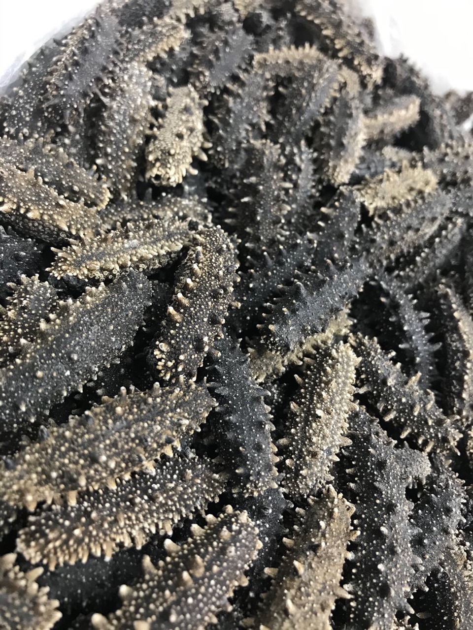 大连纯淡干海参干货6排刺满天星海参刺参50g可打礼盒厂家直销价格