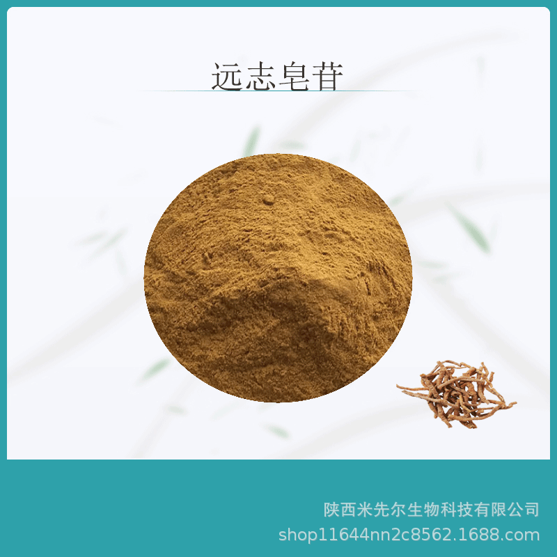 远志皂苷8远志提取物远志粉植物提取物远志皂甙