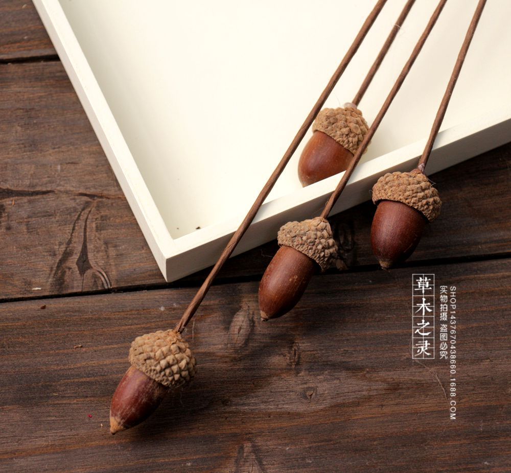 插杆橡果天然植物工艺品自然森系家居布景装饰收工diy材料干花