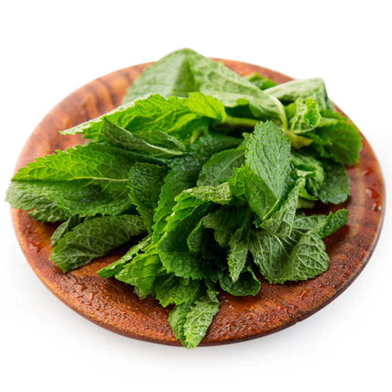 1000头包邮薄荷新鲜食用薄荷叶贵州鱼香菜产地直销留兰香薄荷嫩尖