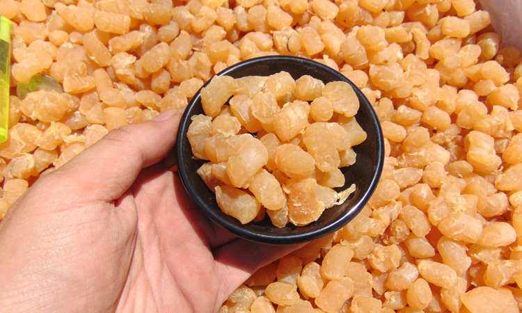 300多头干贝瑶柱海鲜干货扇贝柱煲粥煲汤用大号商用批发500g代发