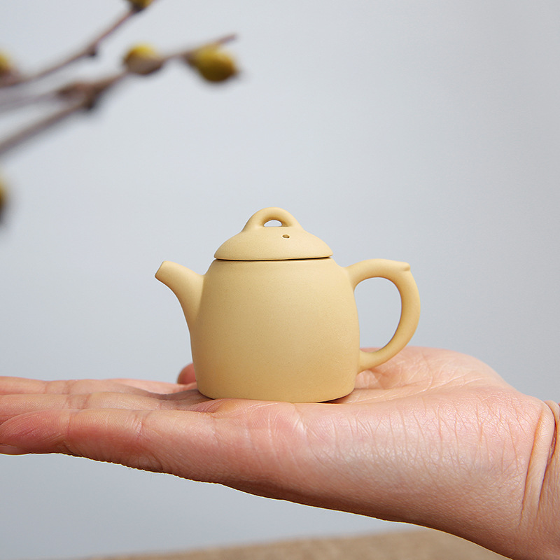 紫砂迷你小茶壶小号指尖壶创意袖珍小号功夫茶具可养茶玩茶宠摆件