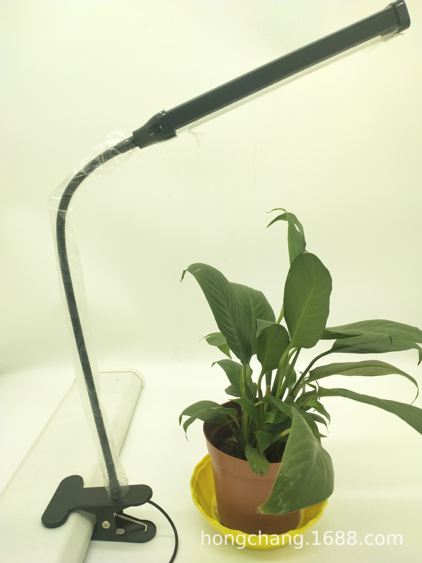 新款led植物生长小台灯亚马逊跨境电商植物夹子灯单头定时补光灯