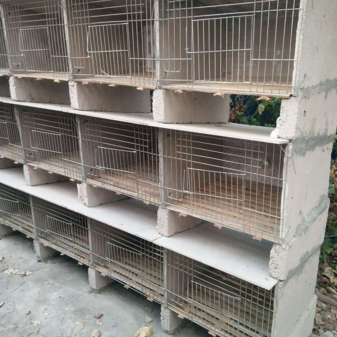 量大优惠水泥兔笼子母笼 大型养殖场家用水泥兔笼子母笼