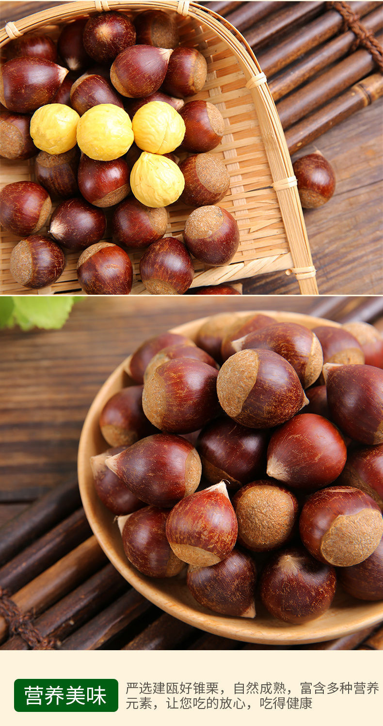 顺丰建瓯锥栗农家现摘2020年栗子新鲜生油栗鲜毛栗子板栗包邮批发