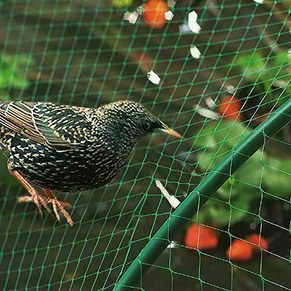花园果树防鸟网2*10m等多种规格尺寸 bird protection net