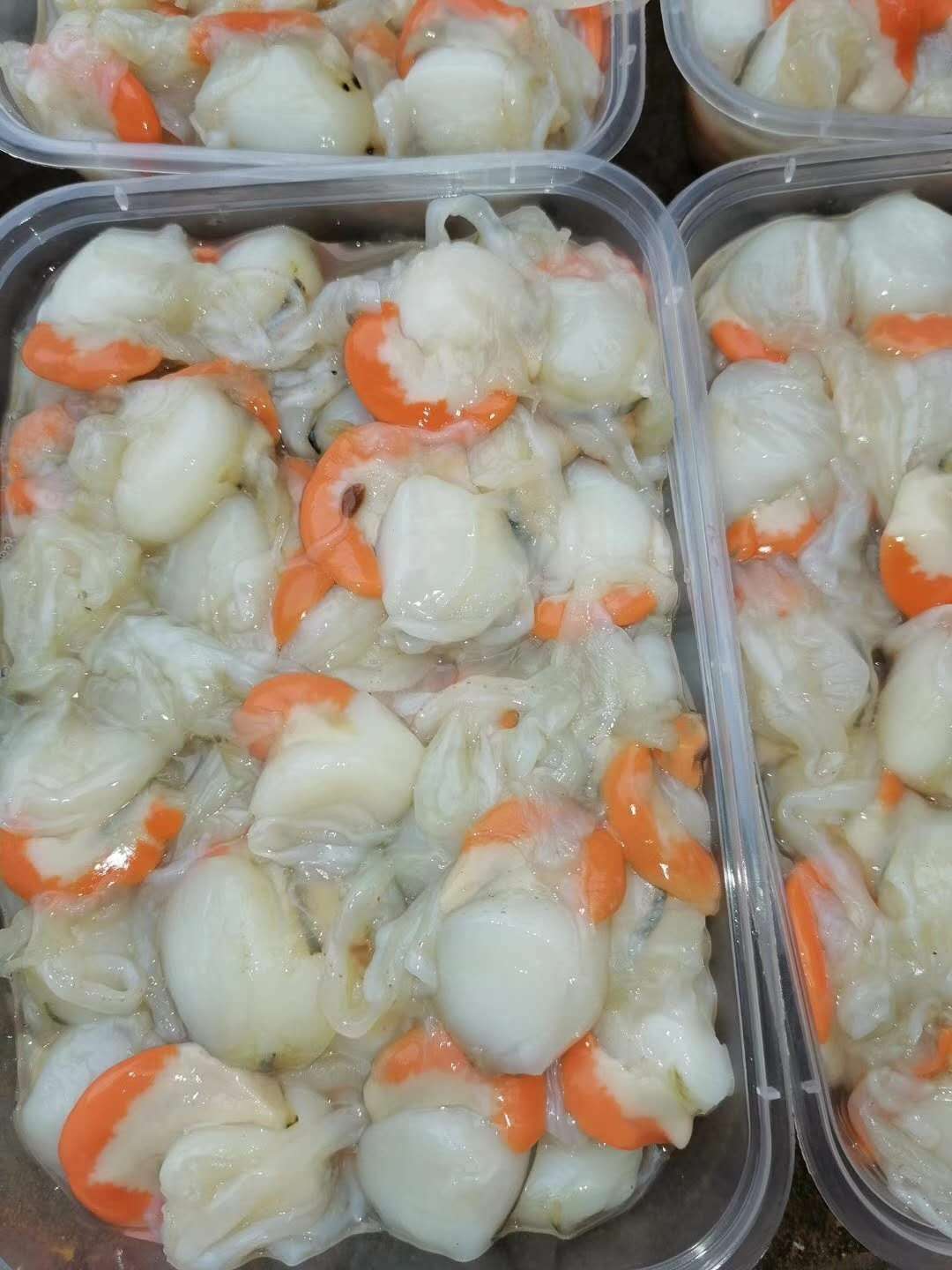 纯野生海飞螺日月贝鲜瑶柱速冻海鲜冰鲜瑶柱肉海鲜套餐礼包扇贝