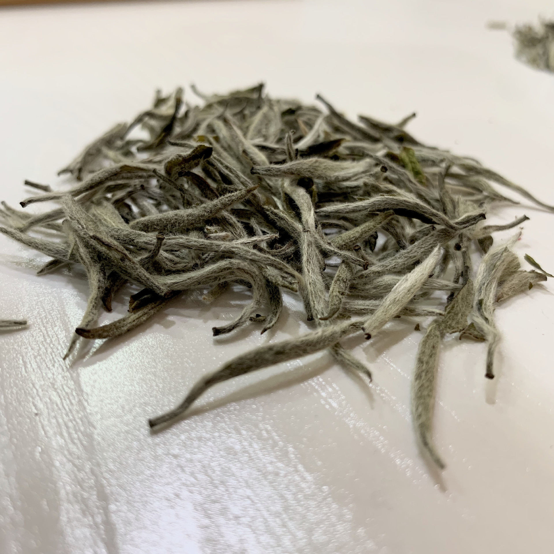 福建白毫银针春芽2019 福鼎新白茶 日晒散装白茶批发 味清甜-阿里巴巴