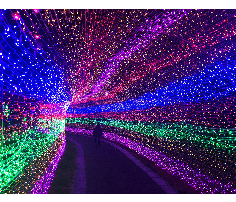 led彩灯圣诞新年婚庆节日星星装饰灯户外防水亮化工程彩灯串