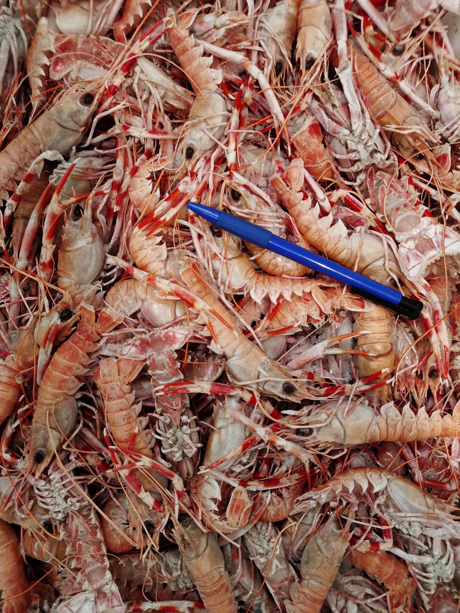 小龙虾净虾斤