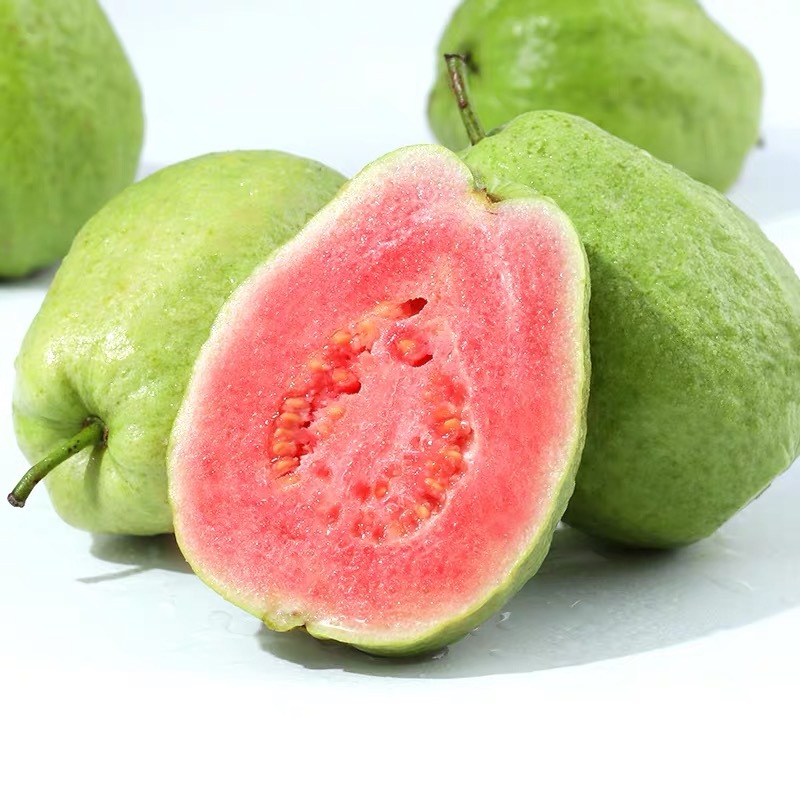 【芭乐】福建 红心 芭乐  番石榴 应季新鲜水果 现摘 一件代发