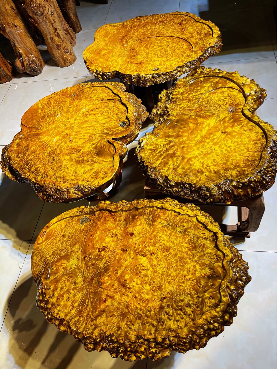 黄金樟木茶盘树瘤茶盘山香果原木板材批发原产地