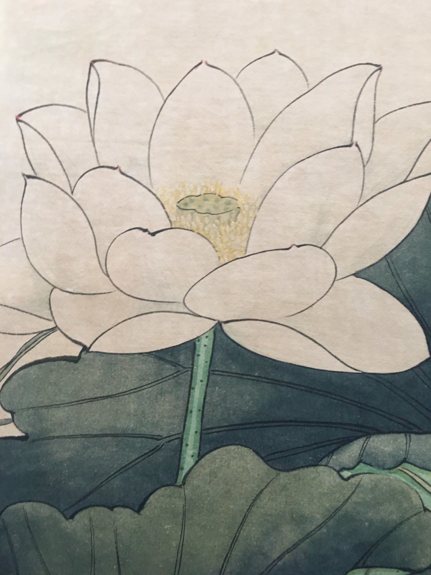 仿古字画中堂画客厅办公挂画宣纸荷花厂家供应片画一件代发
