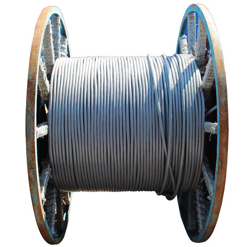 datangbg dt2902-100大唐 室内 大对数线缆100对 通信电缆 纯铜