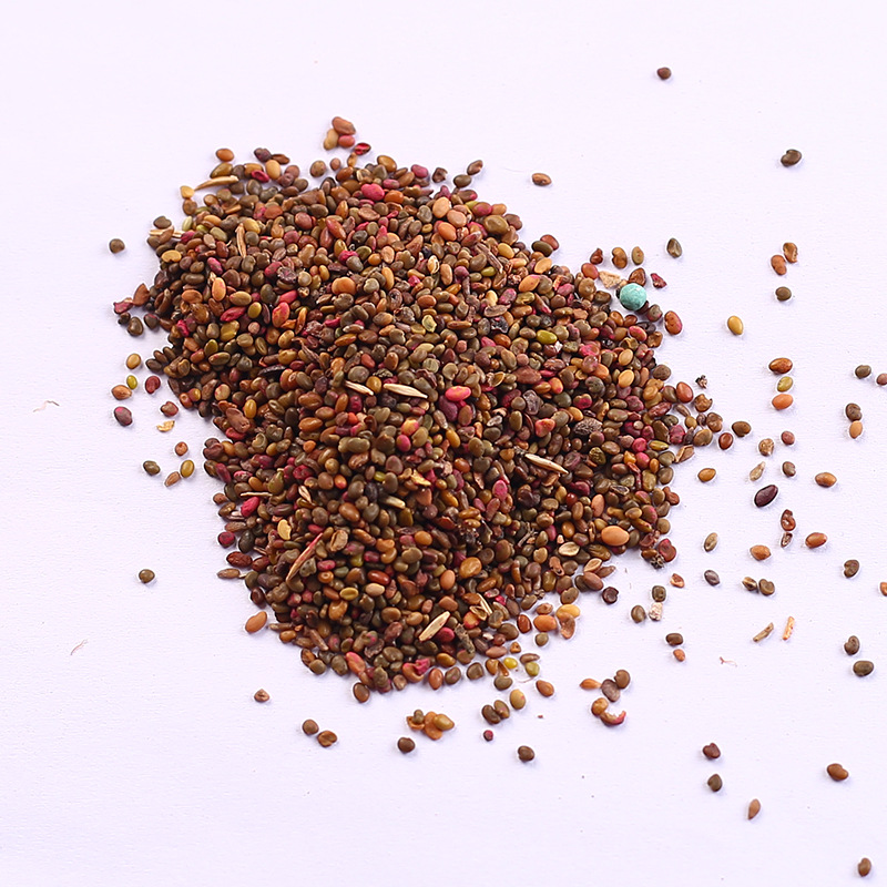 沙打旺种子 多年生牧草 四季绿肥 防沙固土护坡 耐寒耐旱盐碱草籽