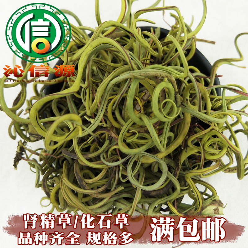 【满包邮】化石草统货散装产地直供肾精草肾经草肾精茶沁信源批发