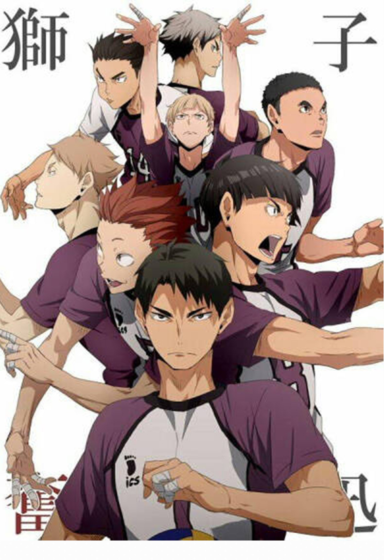 亨达cos动漫排球少年球衣白鸟沢泽学院牛岛若利cospaly排球服现货