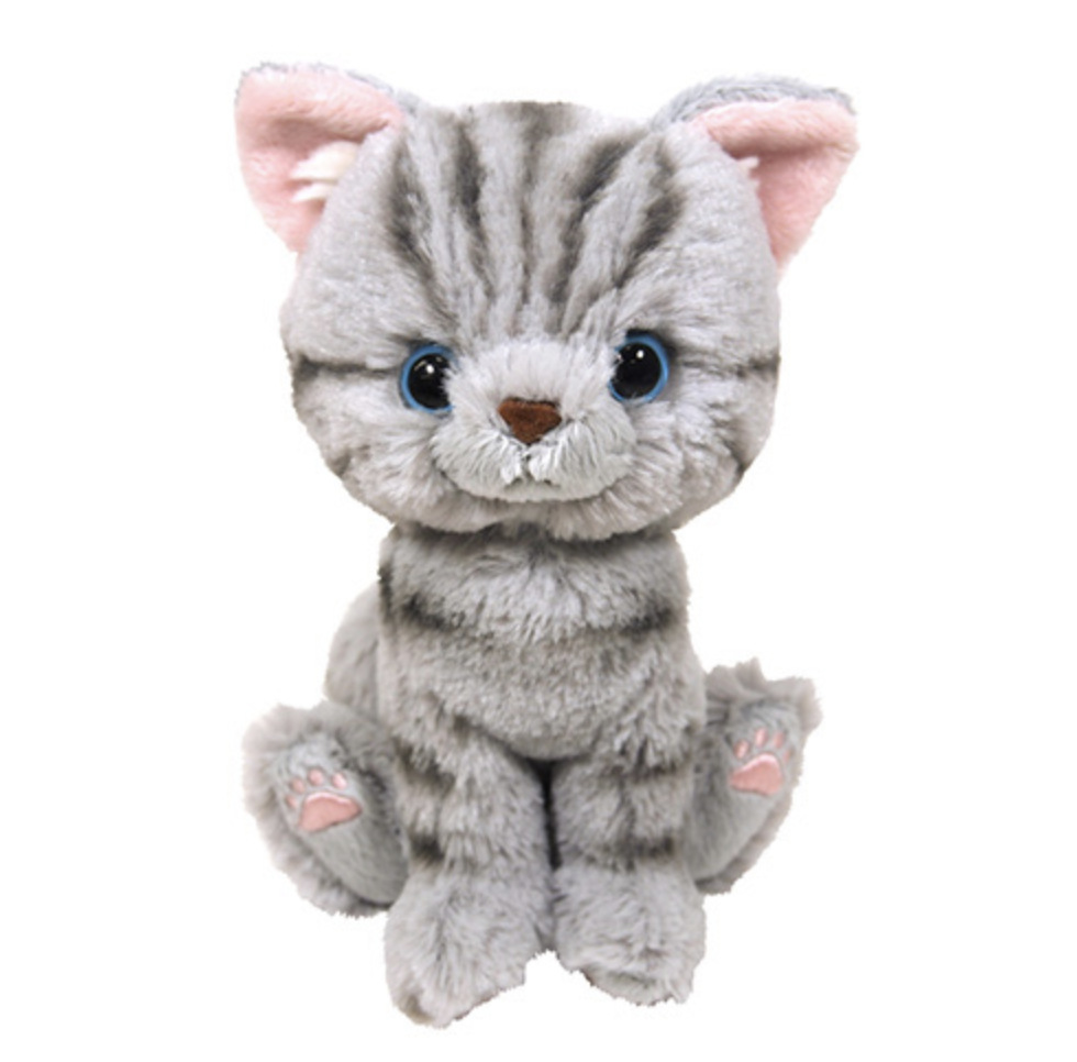 日本进口sunlemon美国短毛猫毛绒玩具仿真玩偶亲肤柔软生日小公仔