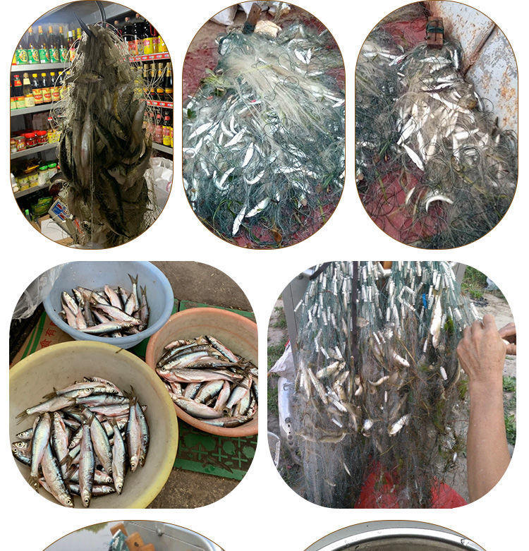 捕鱼粘网丝网白条鱼网三层沉网一指半指鱼网单层浮网挂子渔网神器