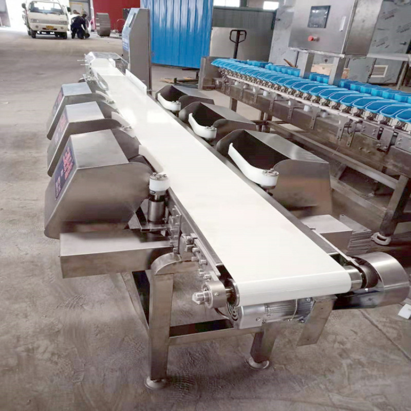 鱿鱼干金昌鱼皮带式自动分级机 鱼分大小机器【一件起批】