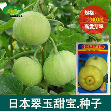 日本翠玉甜宝甜瓜种子绿宝薄皮香瓜 早熟春季夏季绿宝石种子