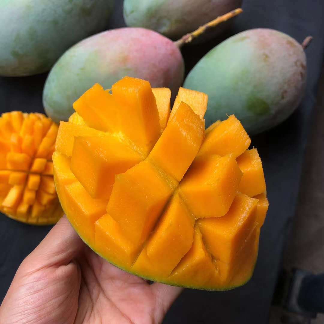 凯特芒攀枝花凯特芒大芒果青皮芒果大果非贵妃红玉苹果芒大青芒