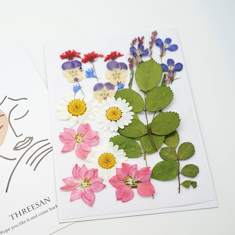 花材干花包押花包儿童手工植物diy滴胶押花压花贴画花瓣妆 小花园