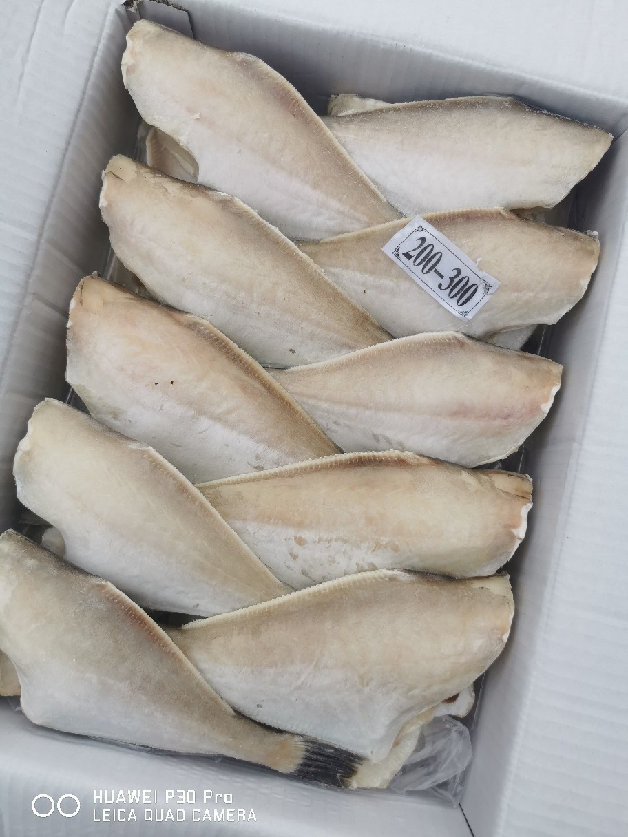 冷冻鲜美耗儿鱼活冻马面鱼 比你想的新鲜 二批酒店餐厅工厂直批